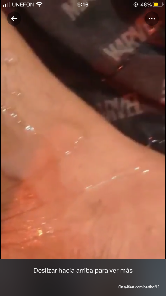 Una probadita de todo lo que les tengo