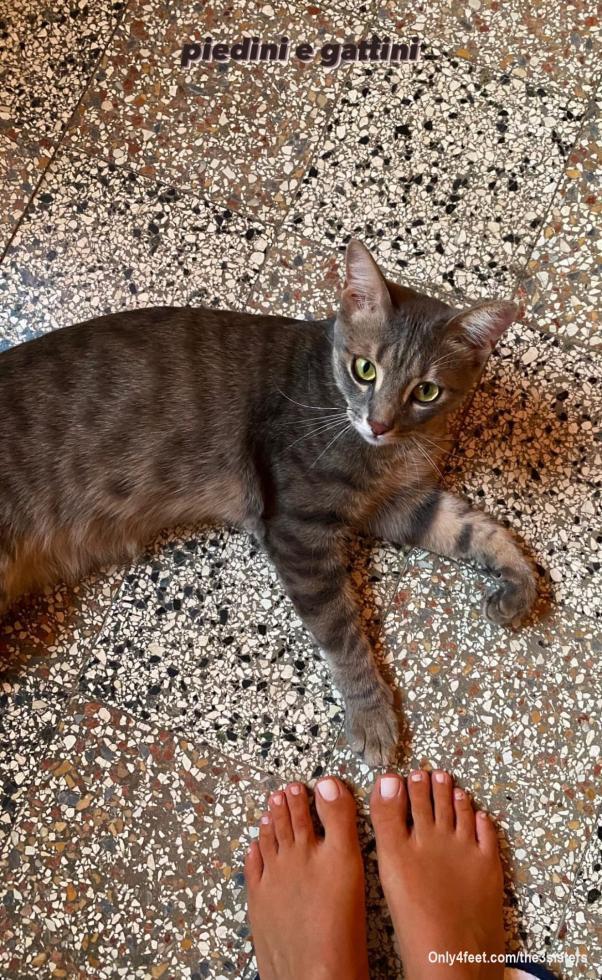 Feet and cats 🐾👣

-V.

#nailpolish #feetfinder #naturalfeet #bedfeet #feetseller #feetmodels #footfetishist #footsie #footmodels #foot #fetichistedespieds #fetishart #fetishphotography #footfetish #italianfeet #feetart #feetlover #feet #tramplefetish #footworshi̇p #foottrample #footslave #piedi #feticismopiedi #piedinudi #piediitaliani #piedifemminili #girlfeet #sisterfeet #womanfeet