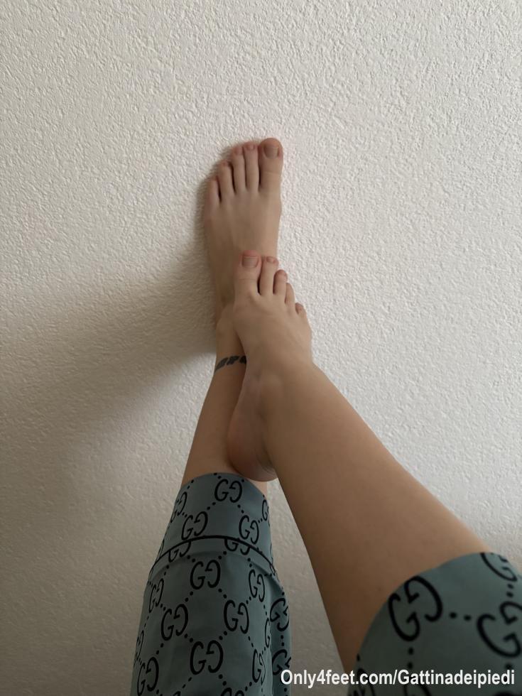 Good morning 🦶 if you want you have to write me only here on the website and you can also send me some tips