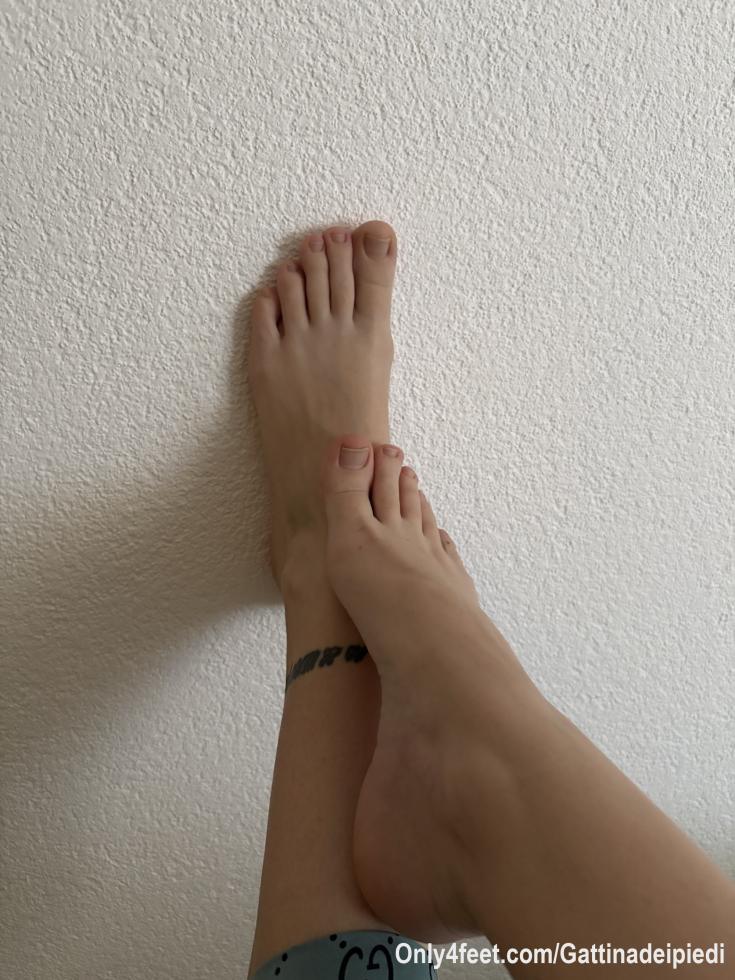 You can have my socks send me some money lets goooo