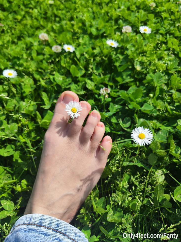 🌼