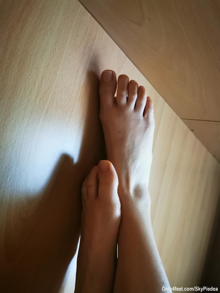 Buongiorno! Questa mattina il cielo è un po' scuro, ma una fievole luce entra lo stesso dalla finestra.. ringrazio chi si è iscritto per il supporto!