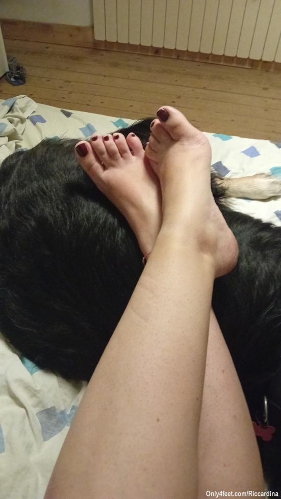 Il mio cane è un ottimo appoggia piedi 😝🐕
🇬🇧 My dog ​​is an excellent foot rest 😝🐕