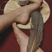 B_venusfeet