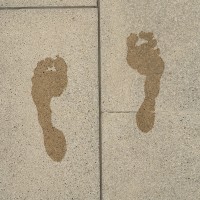 frafeet