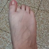 Sognineri